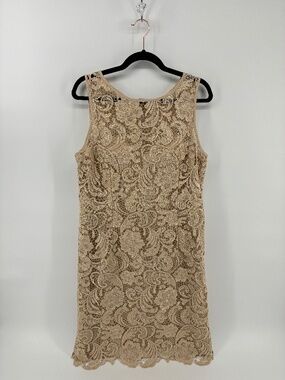 Nude with Lace Overlay Adrianna Papell Dress